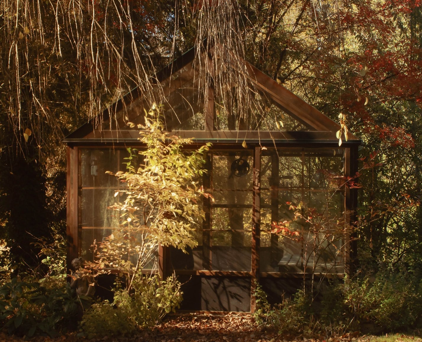 A wood-framed greenhouse among autumn leaves