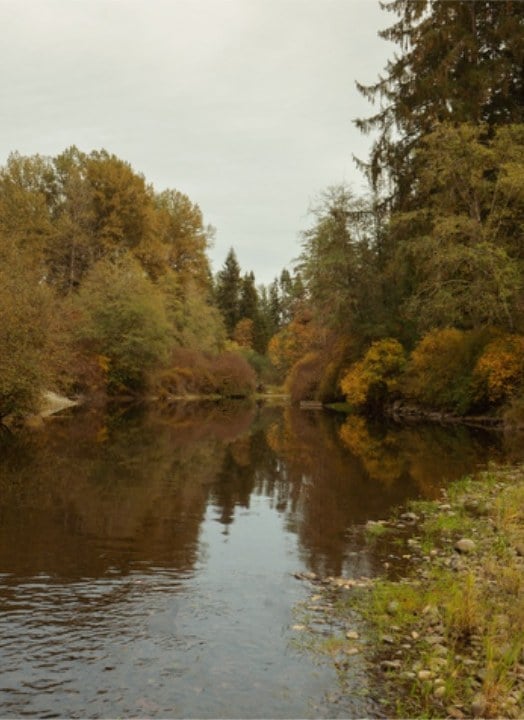 The river, still and lined with autumn trees